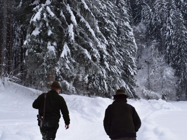 Auf der Jagd, fotografiert von Johanna Egger