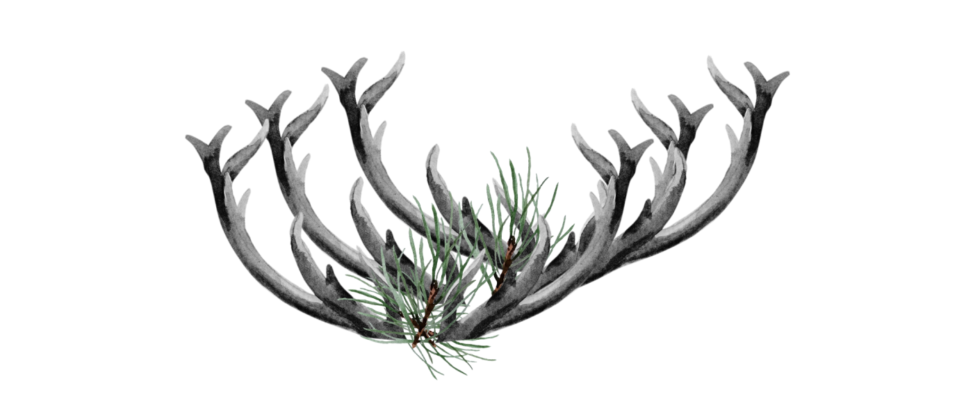 Erntehirsch