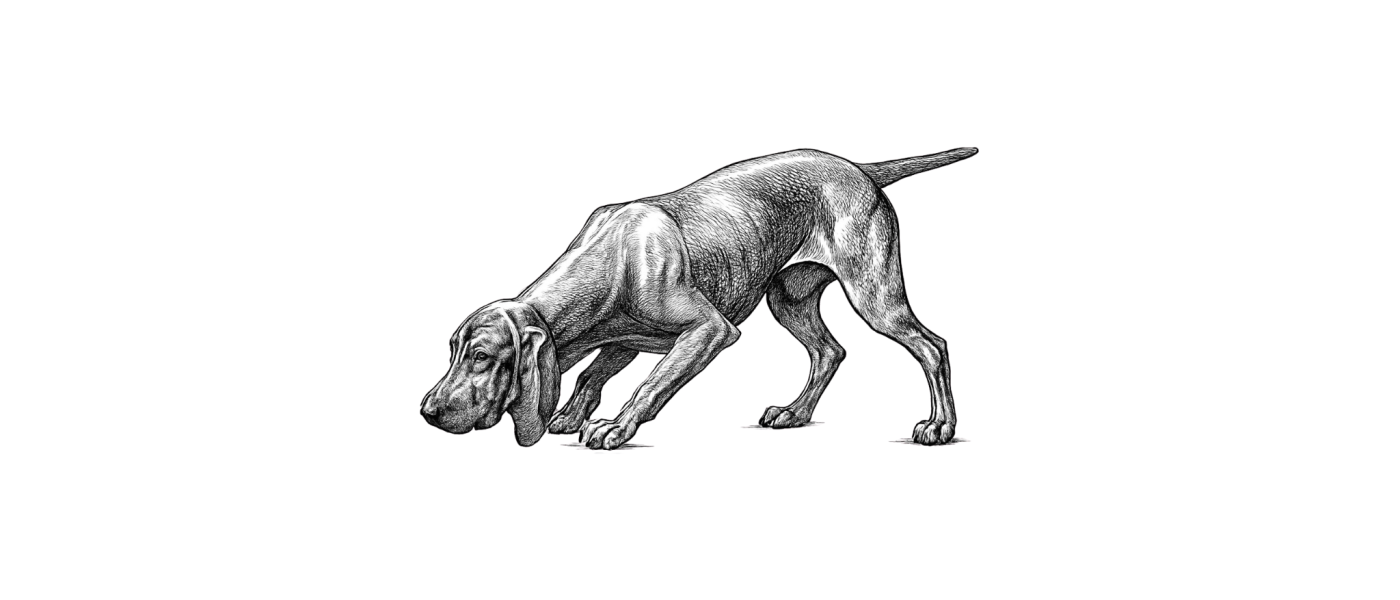 Jagdhund