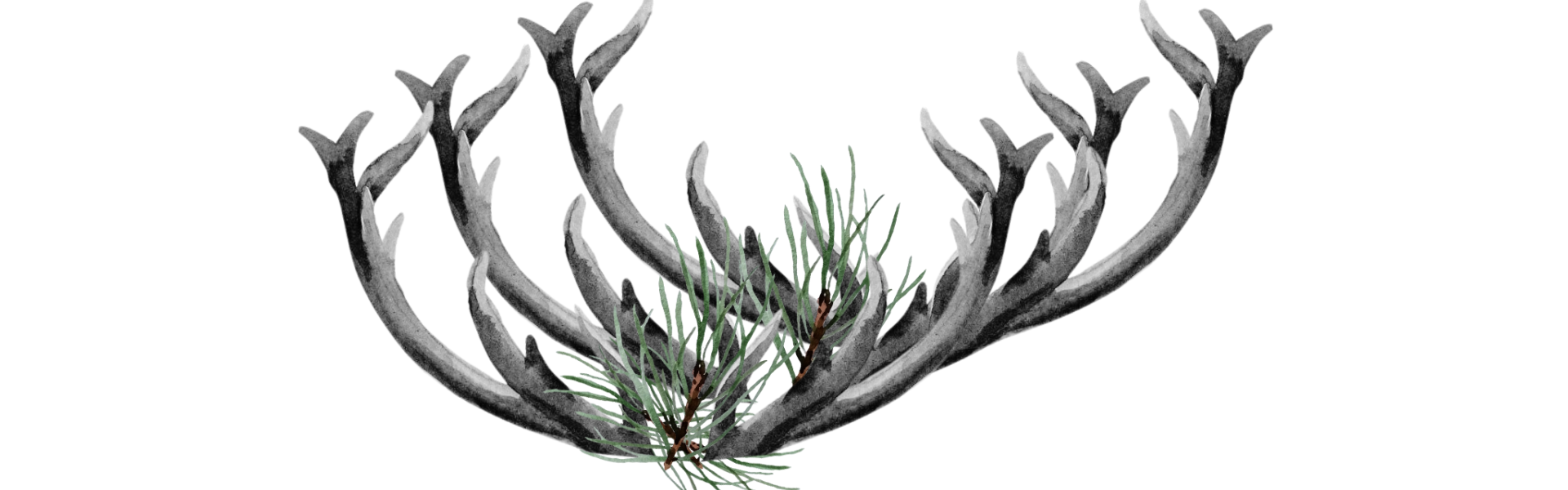 Erntehirsch