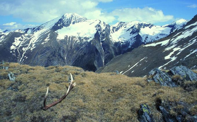 Abwurfstange im Gebirge, fotografiert von Dietmar Streitmair Abwurfstange im Gebirge, fotografiert von Dietmar Streitmair
