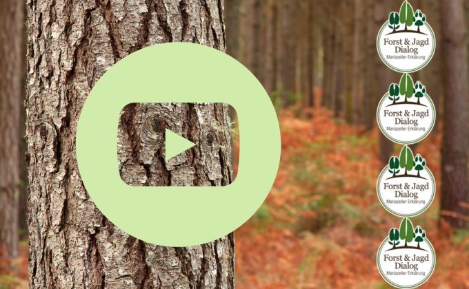 Video Forst und Jagd Dialog Video Forst und Jagd Dialog