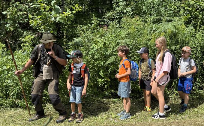 Wald-Wild-Schule